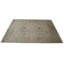 Oriental Area Rug in Ivory