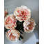 Real Touch Peach Mauve Peony 20.5"-1895609229