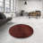 Oriental Indoor Rug-1607410539