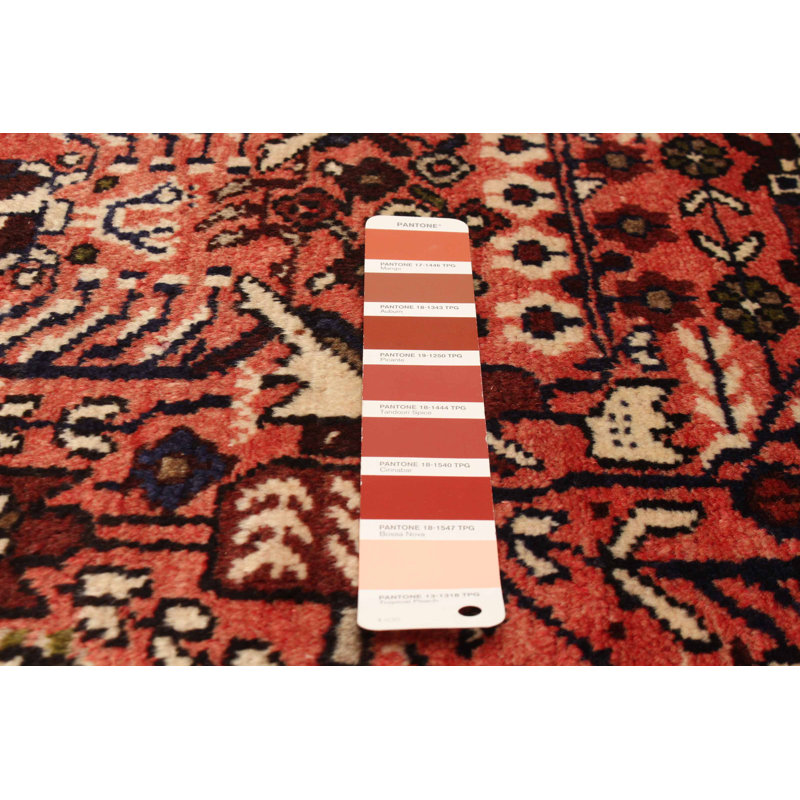 Tapis rouge Andelz 3 pi 2 po x 9 pi 10 po