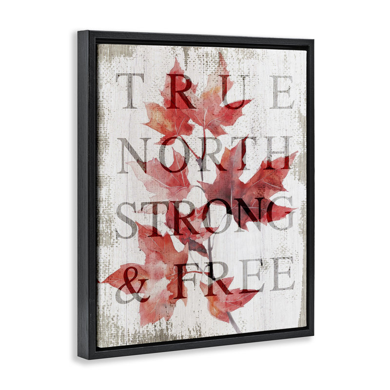 Cadre flottant solide et libre True North, design par Lil 'Rue, Cadre flottant noir de jais, H 21 po x l 17 po