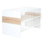 Lion Convertible 2 -Piece Nursery Furniture Set