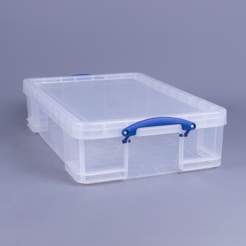 Ivy Bronx 33L Storage Container w/Snap Lid & Clip Lock Handle, Clear