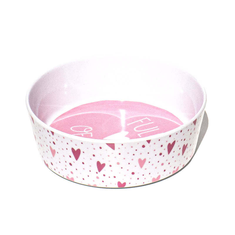 Anti-Skid Pet Bowl