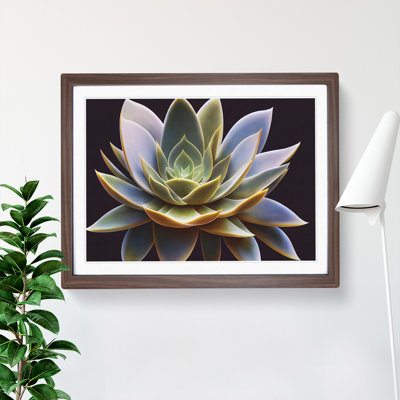 Compelling Succulent Plant - Framed Print