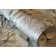 Tropical Collection Bora Bora Coral Inspired 27.8' L x 27.5" W Wallpaper Roll