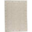 Hand-Knotted High-Quality Beige and Beige Area Rug