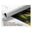 Impression sur toile, "Enchanted Forest Path", impression de bois ensoleillé moussu-1051209585