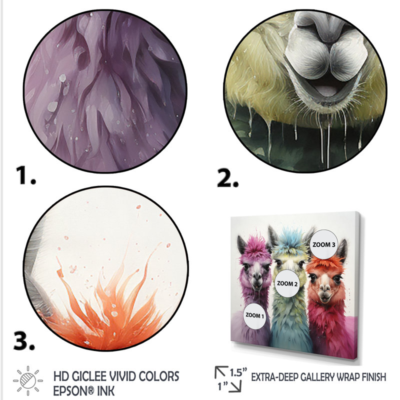 Cheerful Alpaca Family Portrait III - perroquet, art mural, Cadre flottant noir, H 16 po x l 16 po x P 1 po
