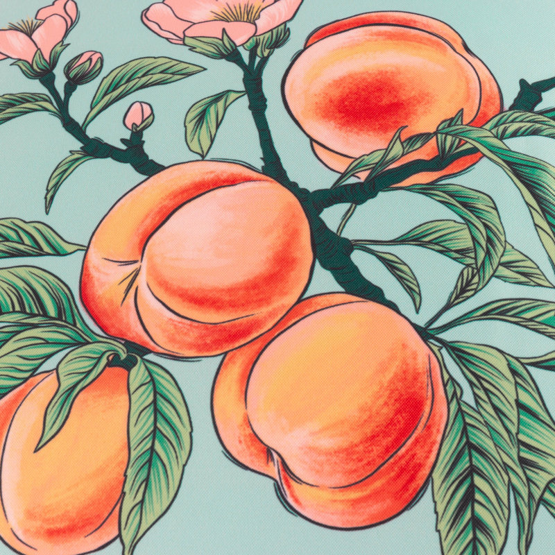 Anemone Peaches Indoor / Outdoor Floral Orange Square Throw, Pillow Cover Only - No Insert