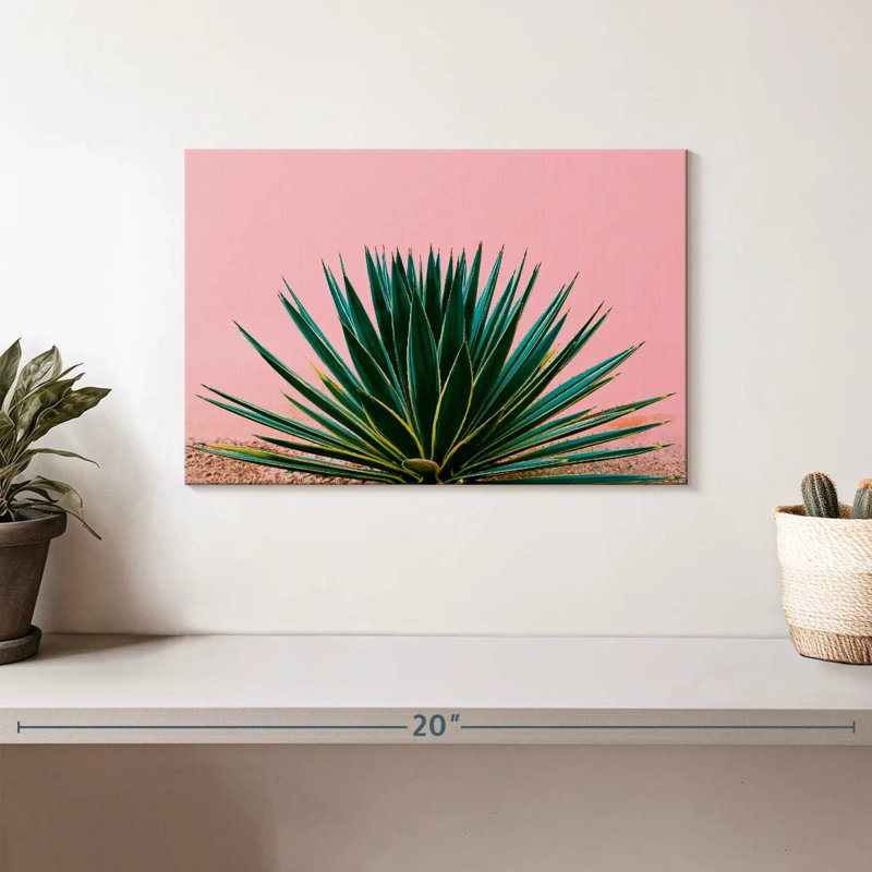 Harnek Contemporary Succulent, H 8 po x l 12 po