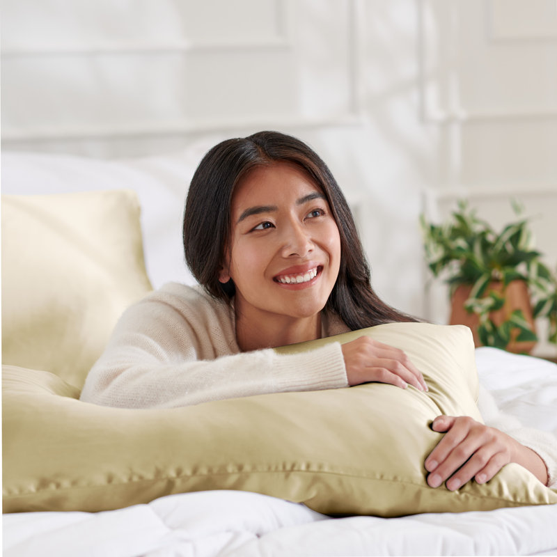 100% Mulberry Silk Pillowcase Zipper Closure, 1 Queen Pillowcase, Champagne