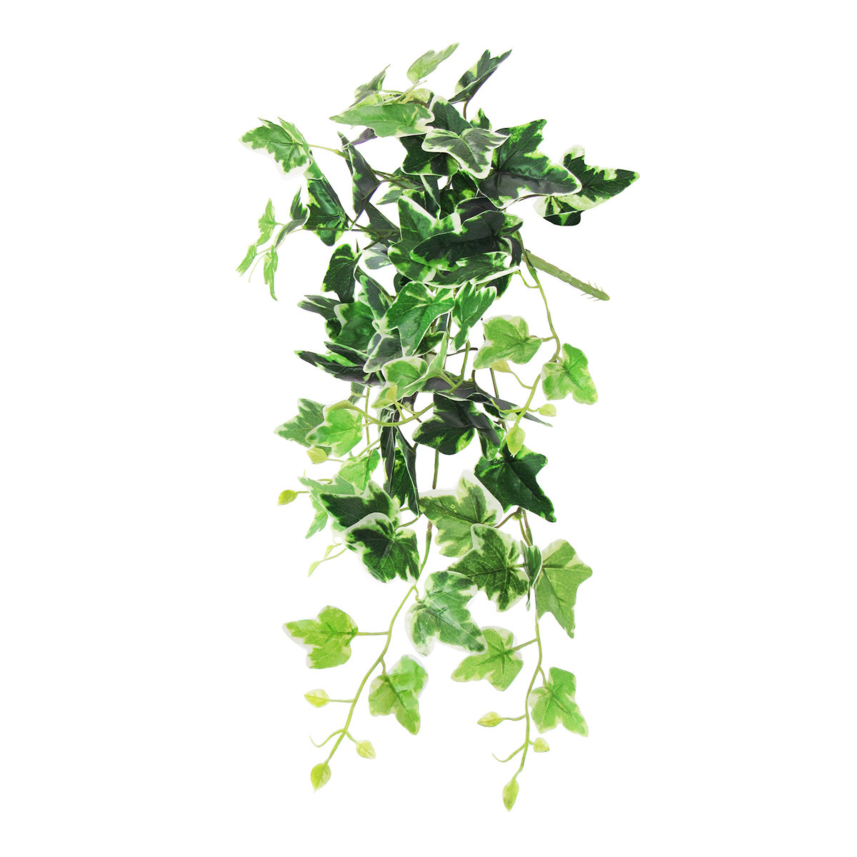 Decoration Green Artificial Leaves Ficus Ivy, Packaging Size: 24