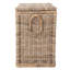 Yula Rattan Decorative Storage Trunk with Lid, Tall Size
