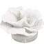 Cole And Grey Polystone Small Textured Coral Sculpture With Clear Acrylic Base