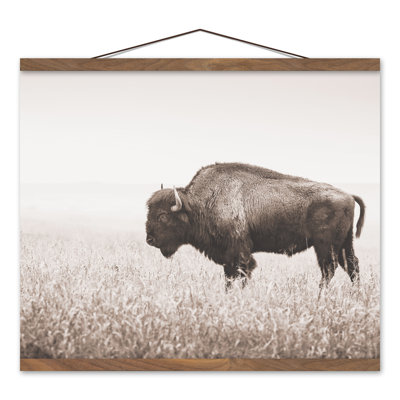 Décoration murale bison sépia