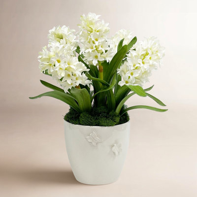 Hyacinth Floral Arrangement