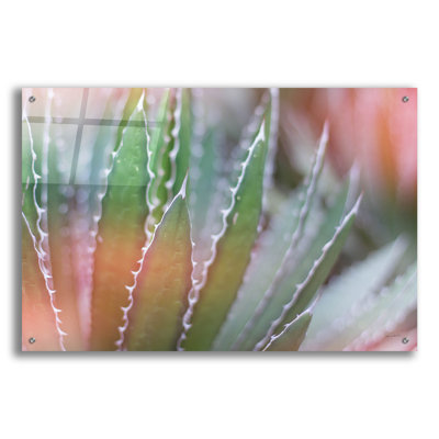 «Dream Desert», art mural en verre 3 po par Sue Schlabach