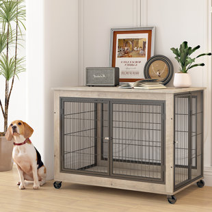 Top Paw Single Door Folding Wire Dog Crate, Size: 30L x 19W 21
