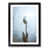 Black Framed
