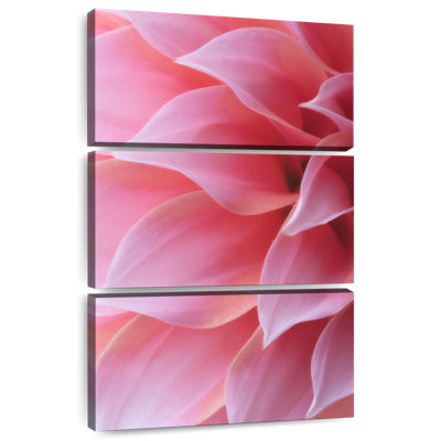 Harnek - pétales de rose pastel