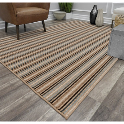 Striped Indoor Rug