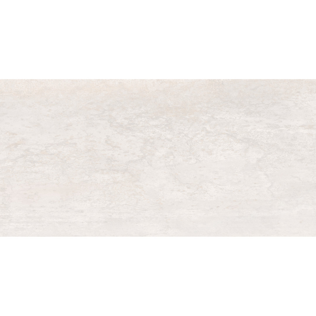 Vante 24 in. x 48 in. Matte Porcelain Metal Look Floor and Wall Tile Ackland 
