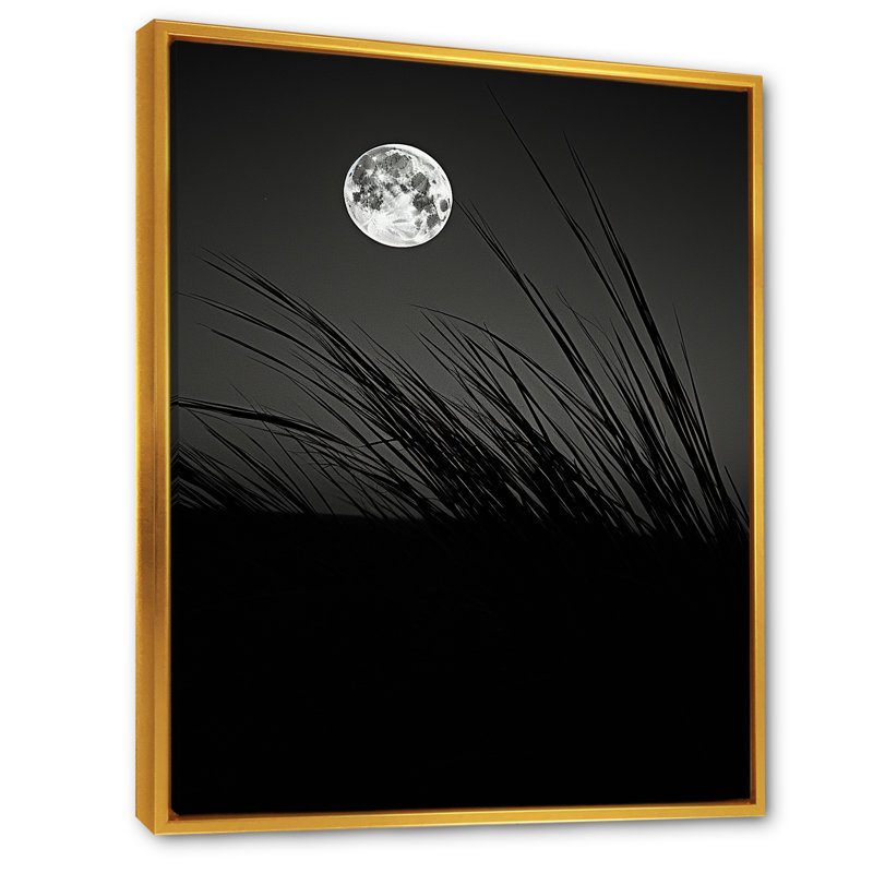 Ivoire, isolement au clair de lune, Cadre flottant doré, H 32 po x l 16 po x P 1 po