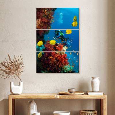 Senne Deep Sea Scuba Diving