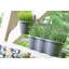 Alamae Wall Planter-583334569