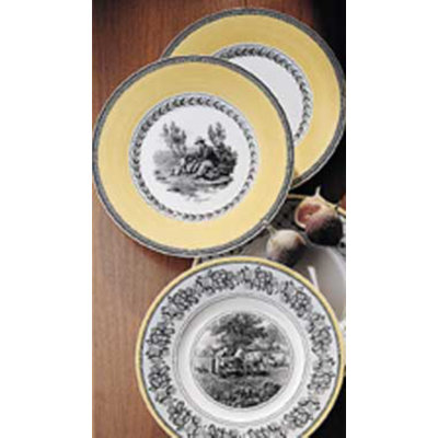 Villeroy & Boch Audun Fleur Rim Soup Plate