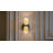 Cynthina Flush Mounted Sconce-633370028