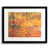 Black Framed Paper selected