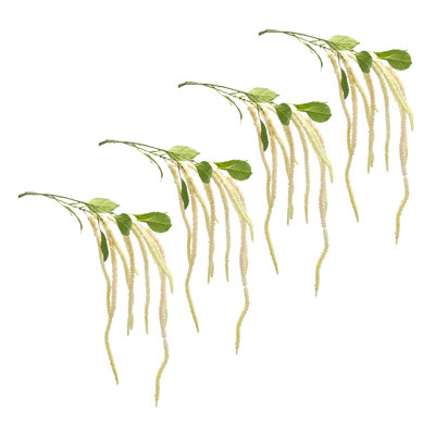 Tige florale Amaranthus (ensemble de 4)