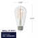 7 Watt (60 Watt Equivalent), ST18 LED, Dimmable Light Bulb, Cool White E26/Medium (Standard) Base. 