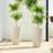 Sainsbury Pot Planter-911249981