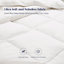 Insert de couette en duvet d'oie légère et respirante-1855253070-1845988097