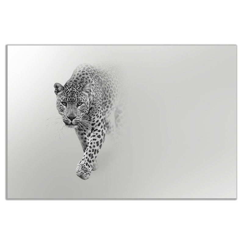 Leopard Wildlife - Wrapped Canvas Print, 41cm H x 61cm W