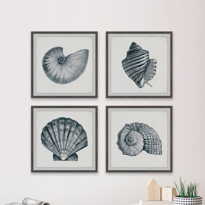 Coquillages gris - ensemble de 4 reproductions de photos, H 24 po x l 24 po x P 1,5 po