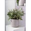 Parsons Handmade Ceramic Pot Planter-149359084-149358864