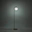 150cm Polished Torchiere Floor Lamp