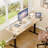 Electric Adjustable Height Standing Desk-1957071036-1957071037