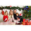 Arbre de Noël vert illuminé 4 pi avec base scintillante - 100 lumières à DEL multicolores, 396 pointes, baies rouges et pommes de pin, branches pleines en PE / PVC, pot lumineux festif