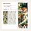 Papier peint italien campagne Toscane