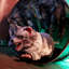 Raton laveur d'Halloween 2 pi avec mouvement et yeux rouges DEL Haunted Hill Farm