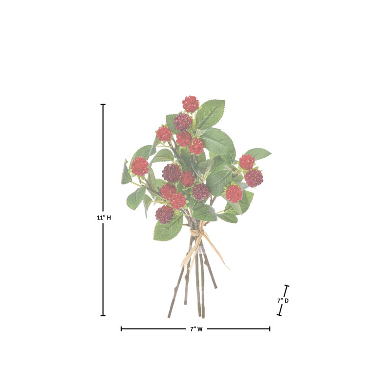Ensemble de 11 po framboise sauvage 