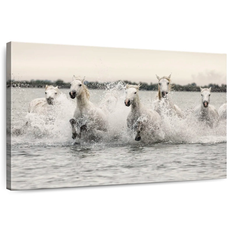Brampt White Camargue Horses Running On The Beach III, 34" H x 51" W
