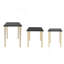 Ensemble de 3 tables d'appoint