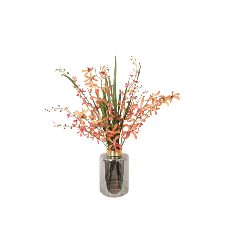 Orchidées Vanda avec feuillage en verre fumé coloré avec bordure dorée