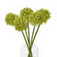Arrangement-128130319-128130320